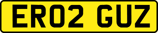 ER02GUZ