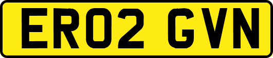 ER02GVN