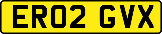 ER02GVX