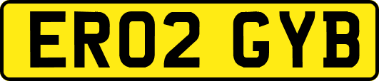 ER02GYB