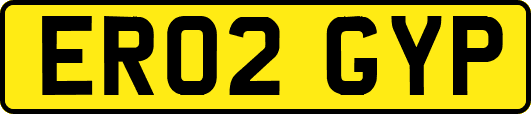 ER02GYP