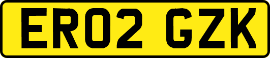 ER02GZK