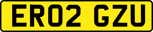ER02GZU