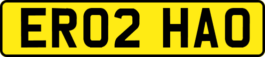 ER02HAO