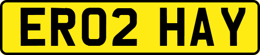 ER02HAY