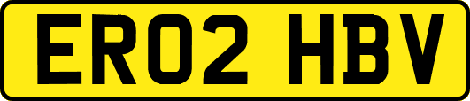 ER02HBV