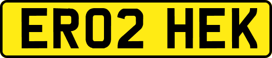 ER02HEK