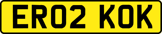 ER02KOK