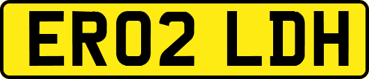 ER02LDH
