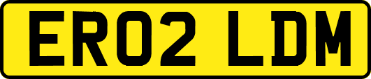 ER02LDM