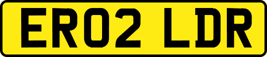 ER02LDR