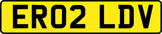 ER02LDV