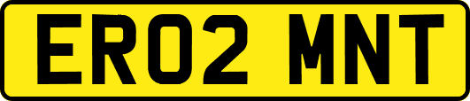 ER02MNT