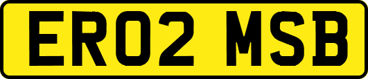 ER02MSB