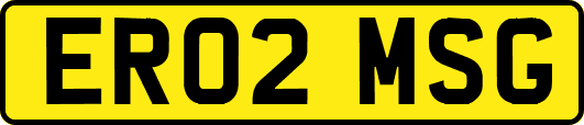 ER02MSG