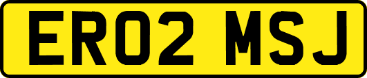 ER02MSJ