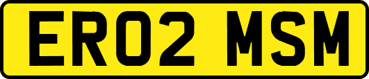 ER02MSM
