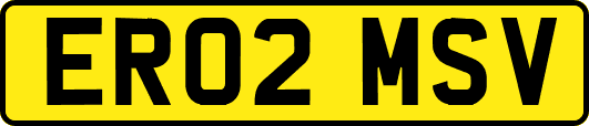 ER02MSV