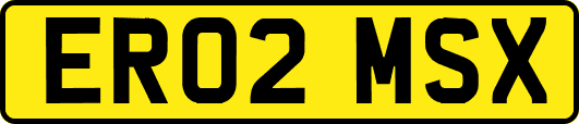 ER02MSX