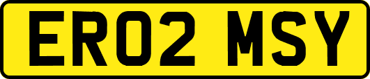ER02MSY