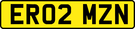 ER02MZN