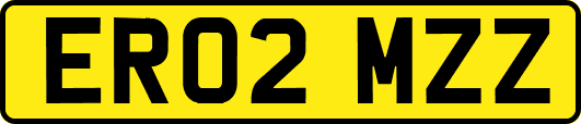 ER02MZZ