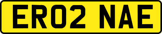 ER02NAE