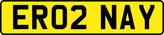 ER02NAY