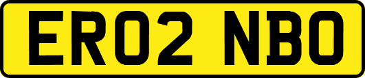 ER02NBO