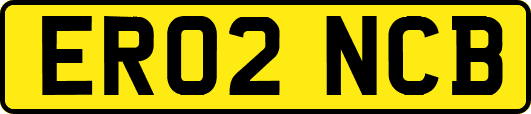 ER02NCB