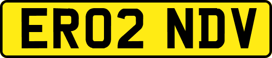 ER02NDV