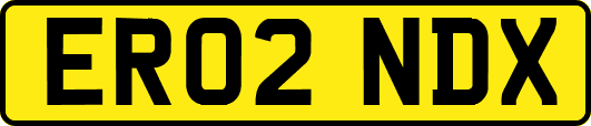 ER02NDX