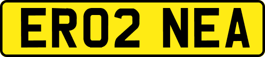 ER02NEA
