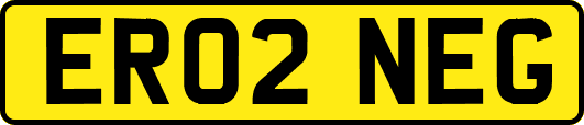 ER02NEG