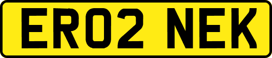 ER02NEK