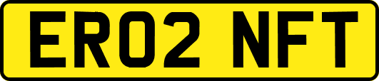 ER02NFT