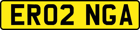 ER02NGA