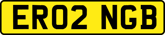ER02NGB