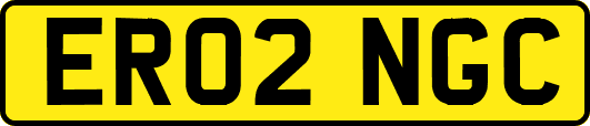 ER02NGC