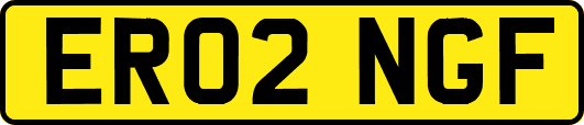 ER02NGF