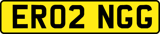 ER02NGG