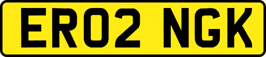 ER02NGK