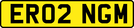 ER02NGM