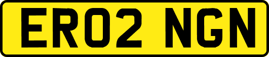 ER02NGN