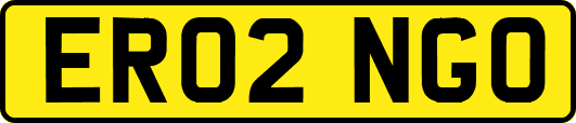 ER02NGO