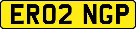 ER02NGP
