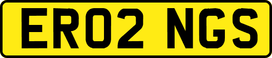 ER02NGS