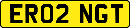 ER02NGT