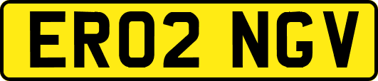 ER02NGV