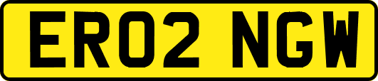 ER02NGW